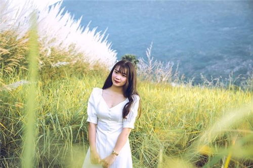 手相面相算命知识大全 从古老智慧到网红孵化的新机遇